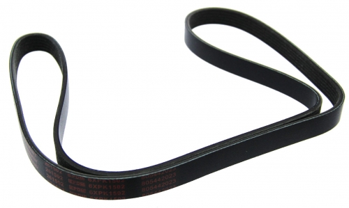 MAPCO 261502 V-Ribbed Belt