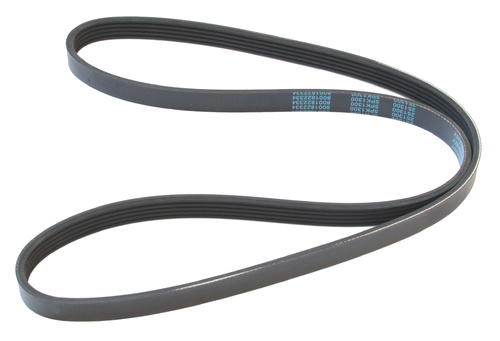 MAPCO 251300 V-Ribbed Belt