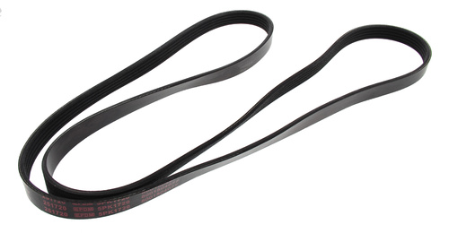 MAPCO 251720 V-Ribbed Belt