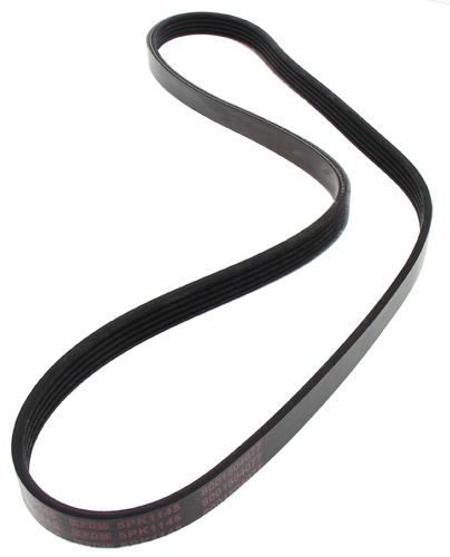 MAPCO 251145 V-Ribbed Belt