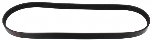 MAPCO 250900 V-Ribbed Belt