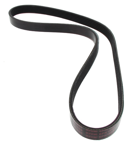 MAPCO 261055 V-Ribbed Belt
