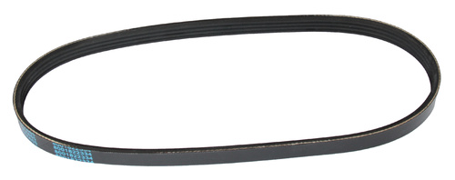 MAPCO 240665 V-Ribbed Belt