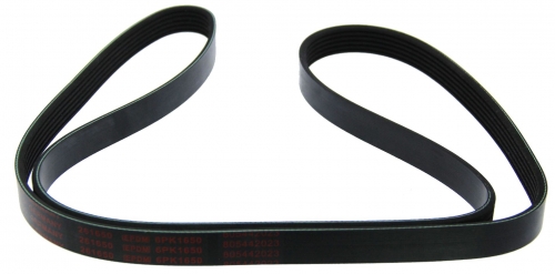 MAPCO 261650 V-Ribbed Belt