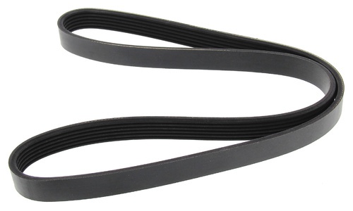 MAPCO 261150 V-Ribbed Belt