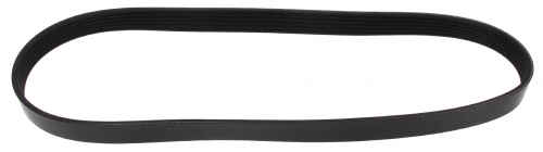 MAPCO 260906 V-Ribbed Belt