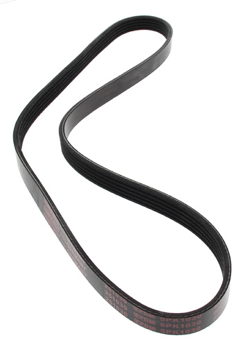 MAPCO 251030 V-Ribbed Belt