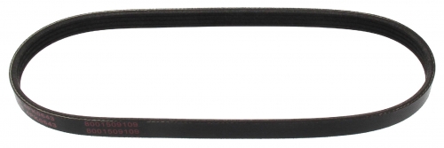 MAPCO 240643E V-Ribbed Belt