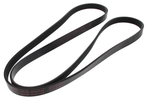 MAPCO 251745 V-Ribbed Belt