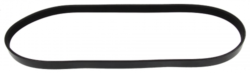 MAPCO 250980 V-Ribbed Belt