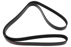 MAPCO 251646 V-Ribbed Belt