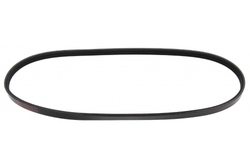 MAPCO 230750 V-Ribbed Belt