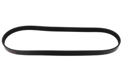 MAPCO 250900 V-Ribbed Belt
