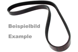 MAPCO 261990 V-Ribbed Belt