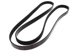 MAPCO 262050 V-Ribbed Belt