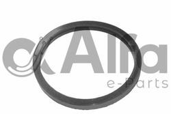 Alfa-eParts AF10613 O-Ring                                                      
