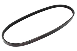 MAPCO 230680 V-Ribbed Belt