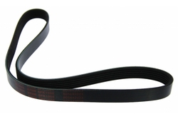 MAPCO 261000 V-Ribbed Belt