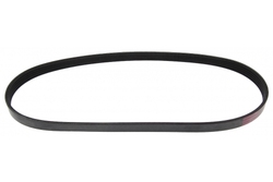 MAPCO 250875 V-Ribbed Belt