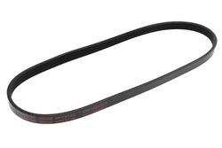 MAPCO 240750 V-Ribbed Belt
