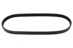 MAPCO 240643E V-Ribbed Belt